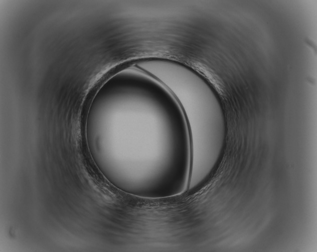X0000091910532200709051213