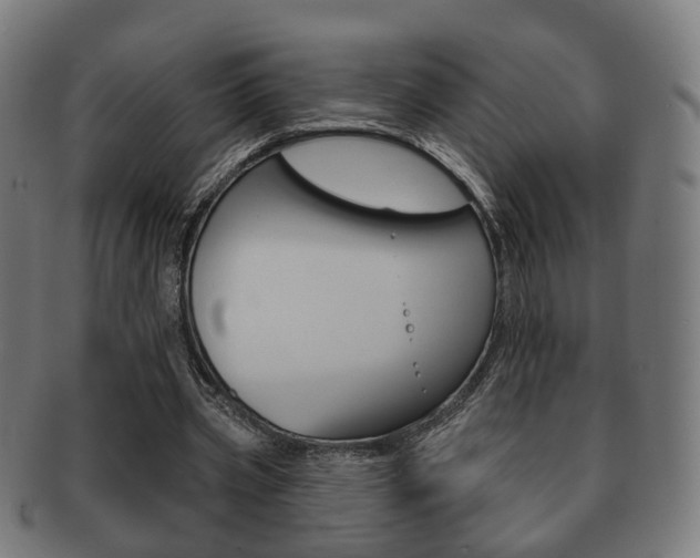 X0000091910533200709051213