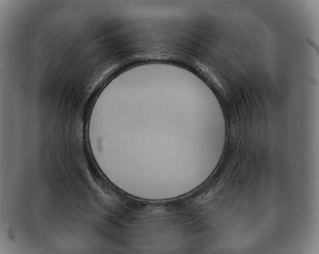 X0000091910534200709051213