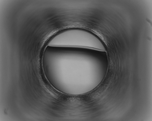 X0000091910535200709051213