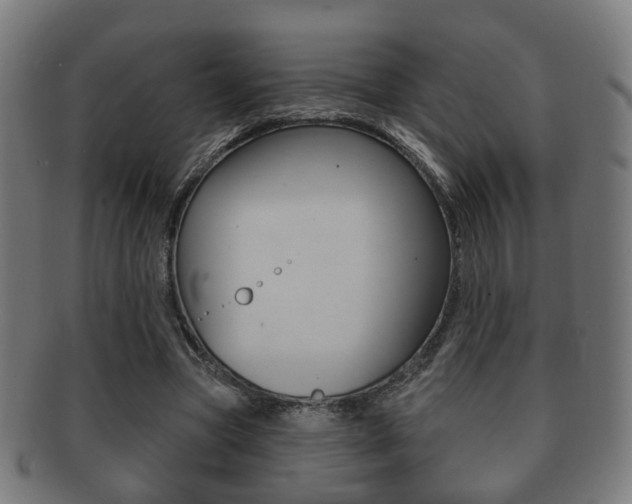 X0000091910537200709051213