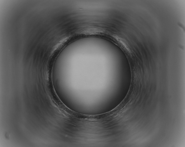 X0000091910539200709051213