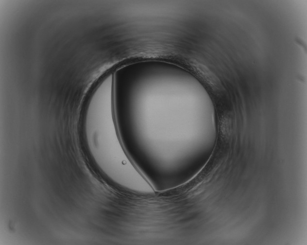 X0000091910540200709051213
