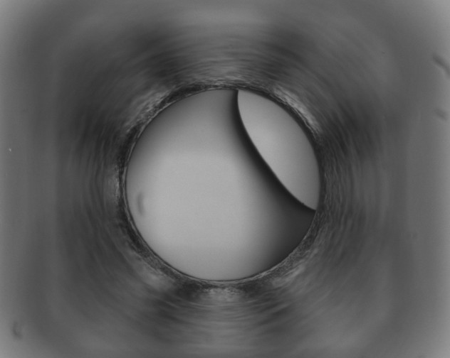 X0000091910541200709051213