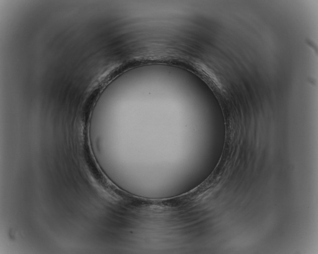 X0000091910542200709051213
