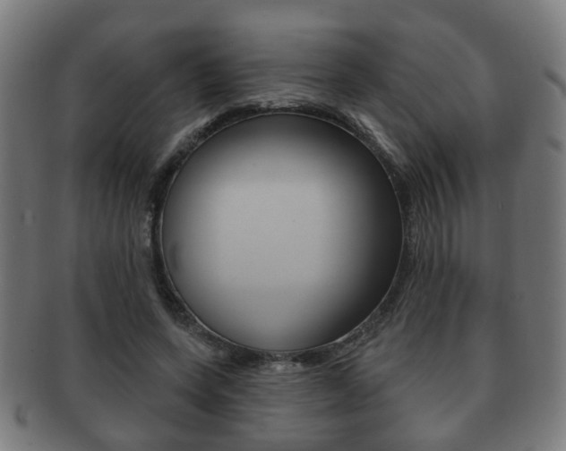 X0000091910543200709051213