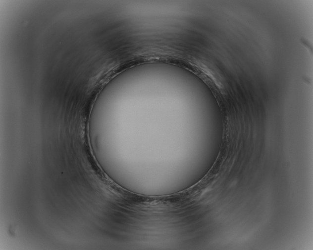 X0000091910545200709051213