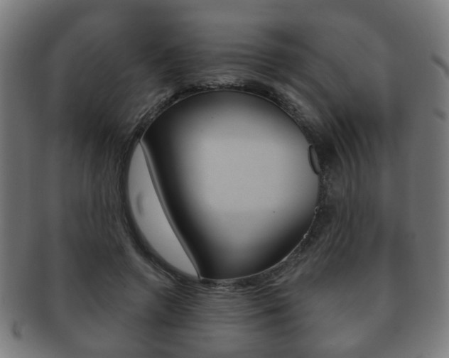 X0000091910546200709051213
