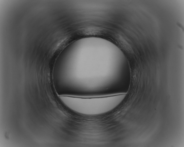 X0000091910547200709051213