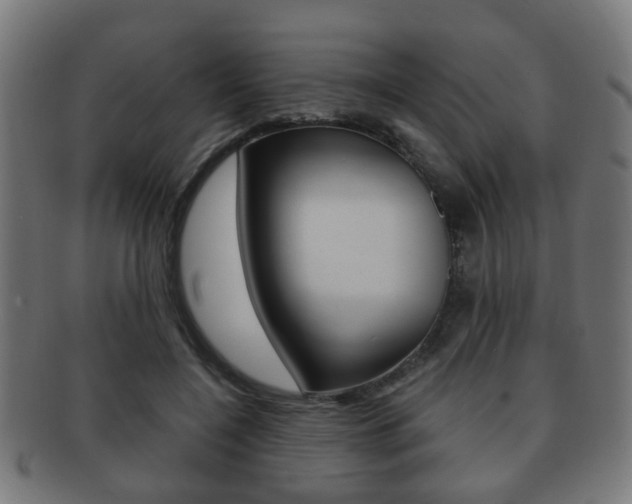 X0000091910548200709051213