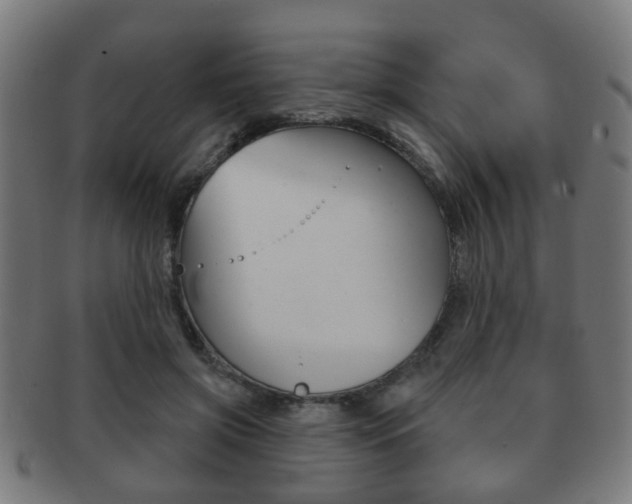 X0000091910549200709051213