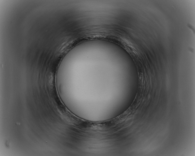 X0000091910550200709051213