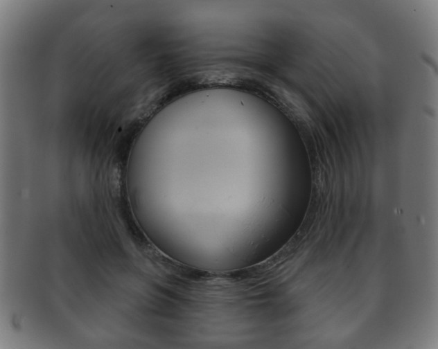 X0000091910551200709051213