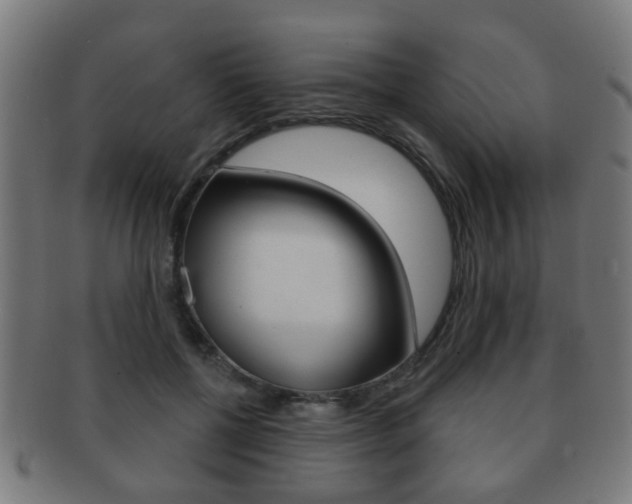 X0000091910552200709051213