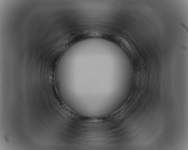 X0000091910553200709051213