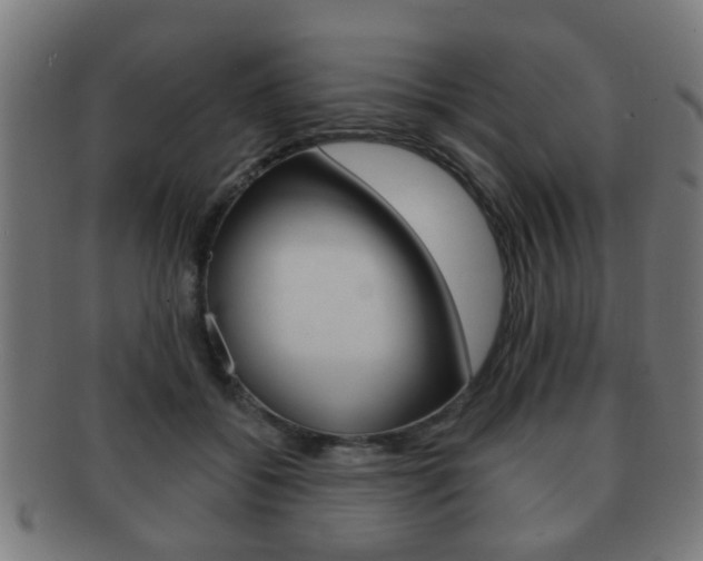 X0000091910556200709051213