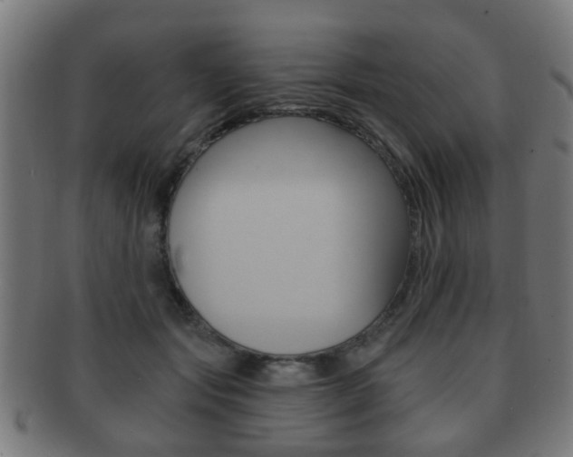 X0000091910557200709051213