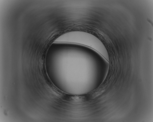 X0000091910558200709051214