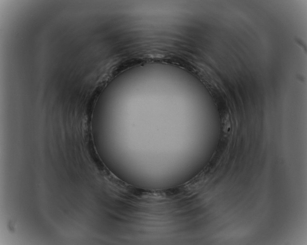 X0000091910559200709051214
