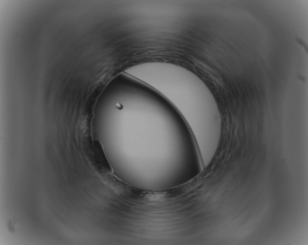 X0000091910560200709051214