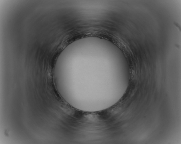 X0000091910561200709051214