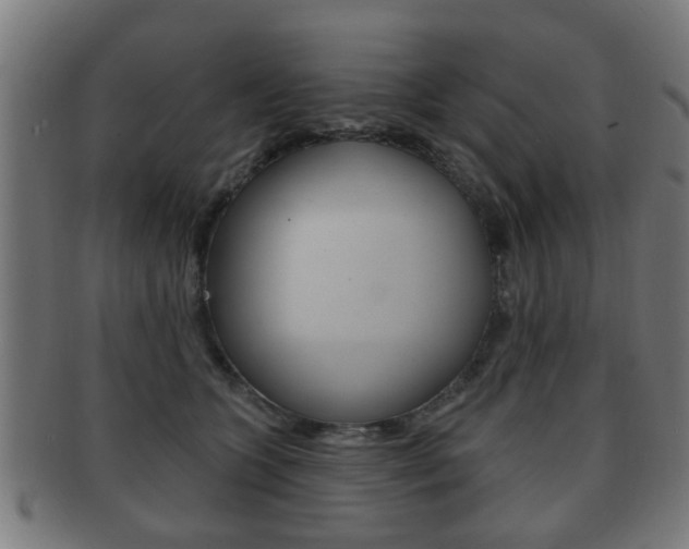 X0000091910563200709051214