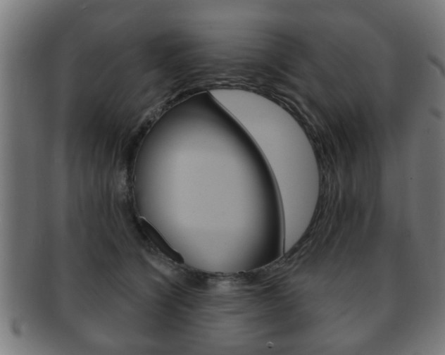X0000091910564200709051214