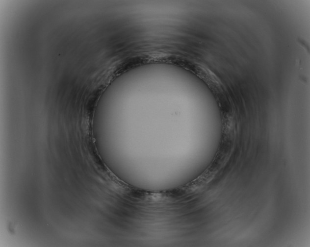 X0000091910565200709051214