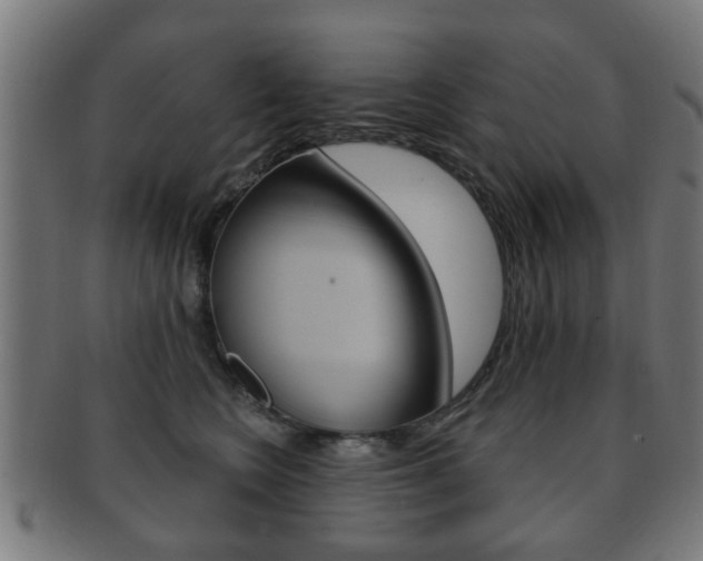 X0000091910566200709051214