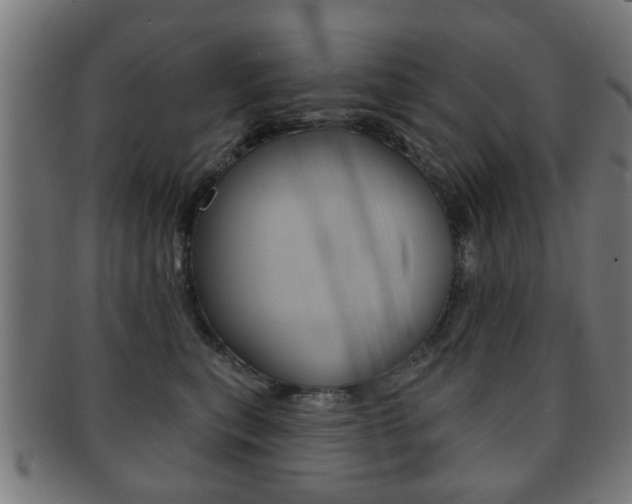 X0000091910567200709051214