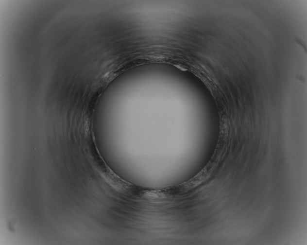 X0000091910568200709051214