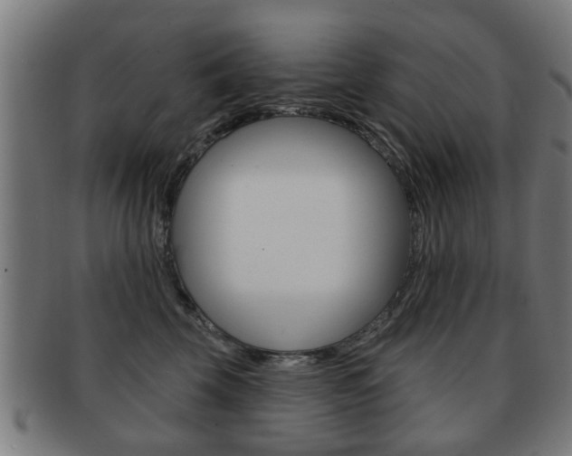 X0000091910569200709051214