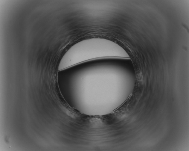 X0000091910572200709051214