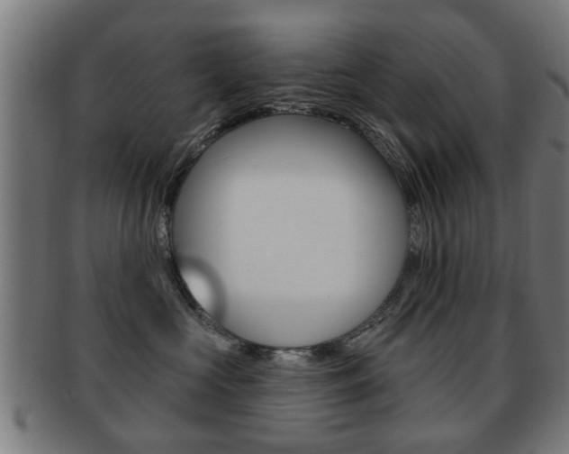 X0000091910573200709051214