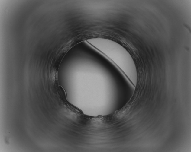 X0000091910574200709051214