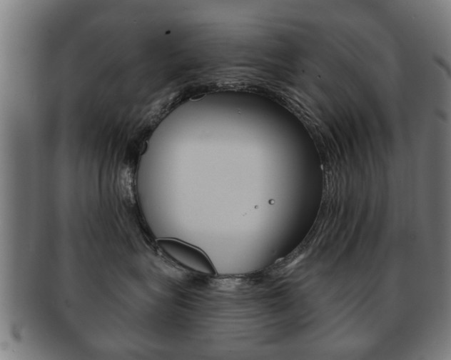 X0000091910575200709051214