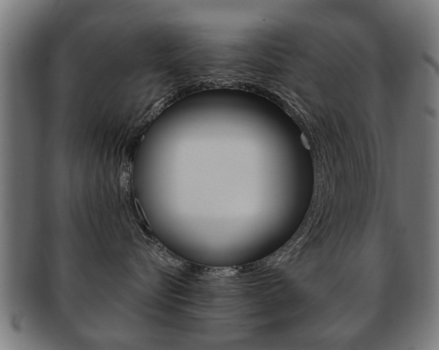 X0000091910576200709051214