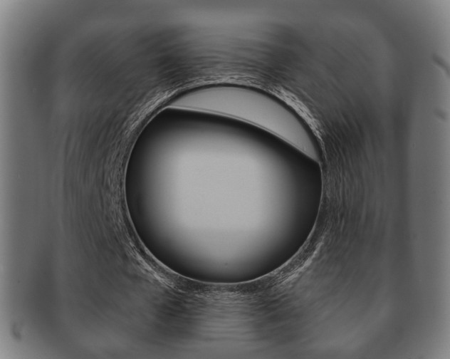 X0000091910577200709051213