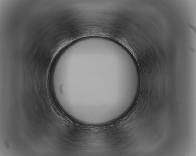 X0000091910579200709051213