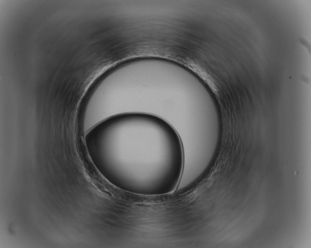 X0000091910580200709051213