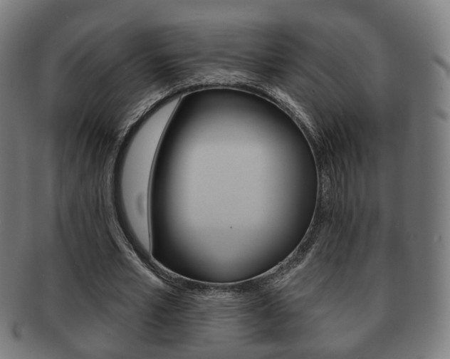 X0000091910581200709051213