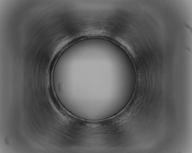 X0000091910582200709051213