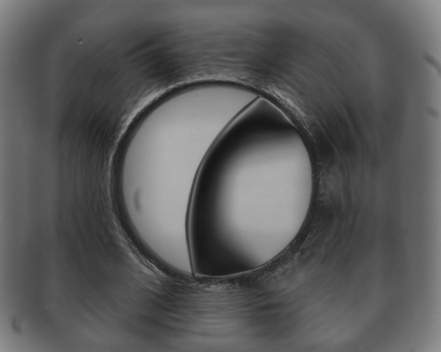 X0000091910584200709051213