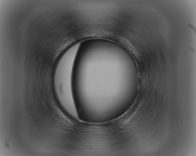 X0000091910585200709051213