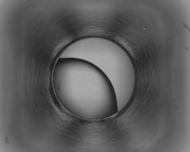 X0000091910586200709051213