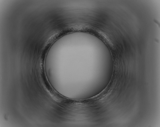 X0000091910590200709051213