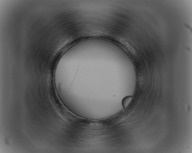 X0000091910591200709051213