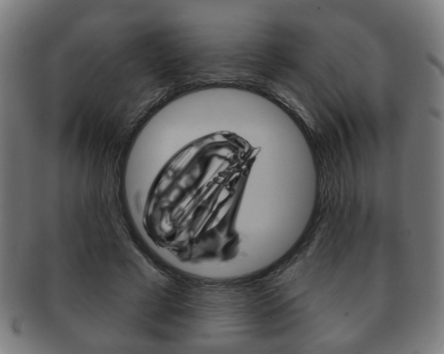 X0000091910593200709051213