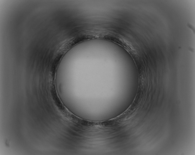 X0000091910594200709051213