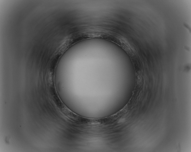 X0000091910598200709051213